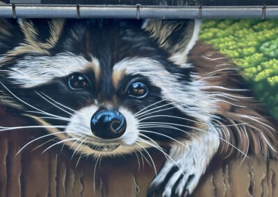 Fa. Dubowski „Waschbär-Graffiti“